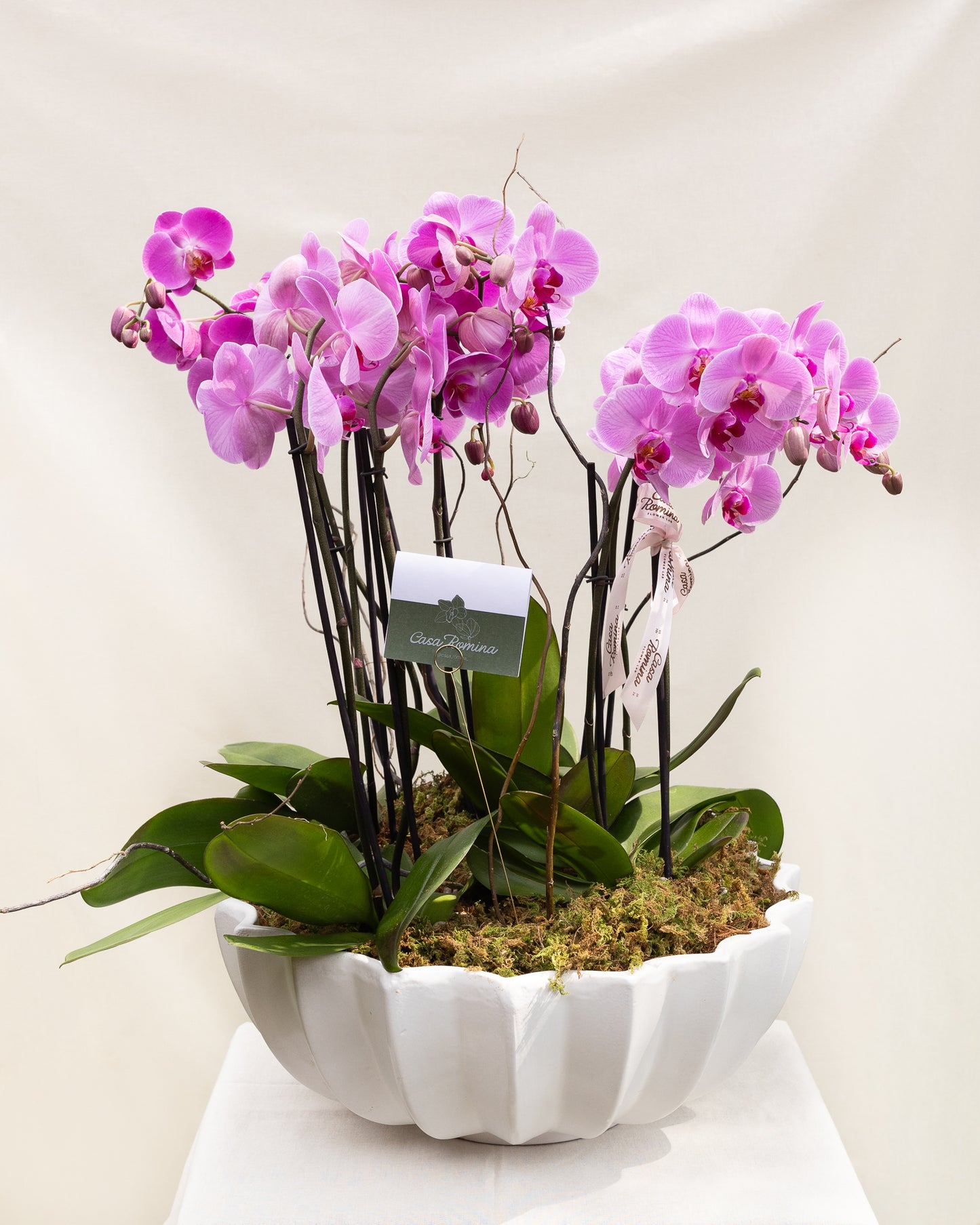 BLOOM SPACE