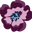 Casa Romina logo